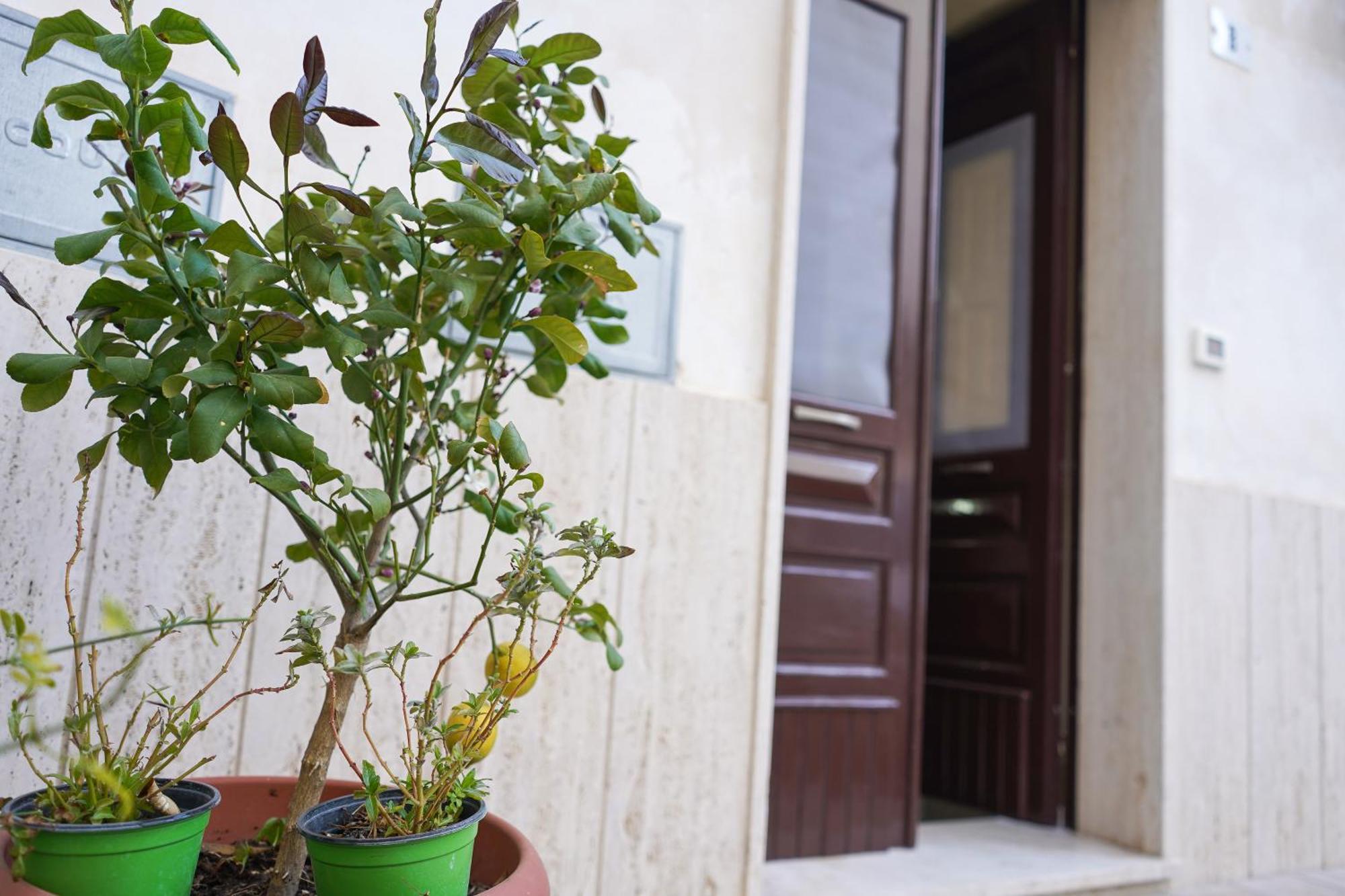""" Holiday Properties Sicilian Central """ أفولا المظهر الخارجي الصورة